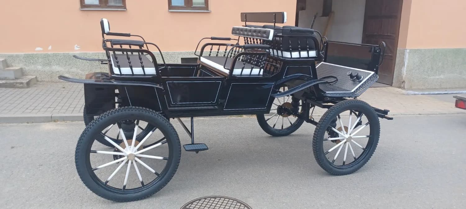 velka-brycka-koc-konsky-povoz-za-velke-kone