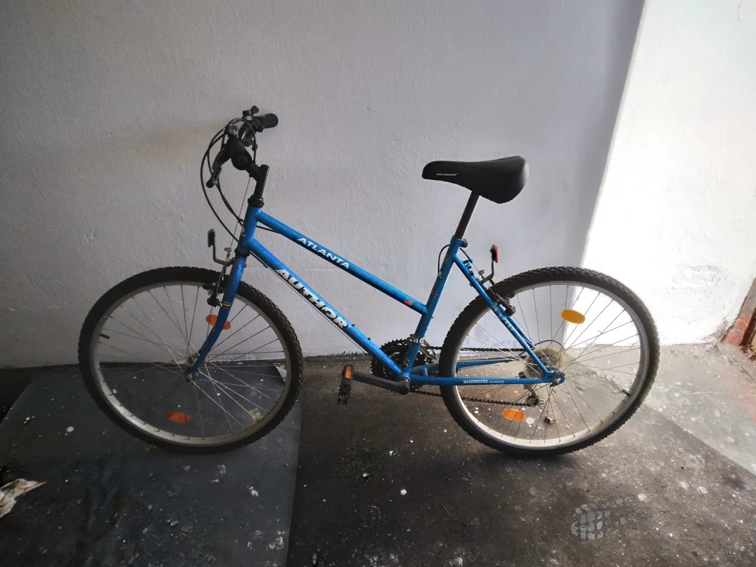 predam-damsky-horsky-bicykel