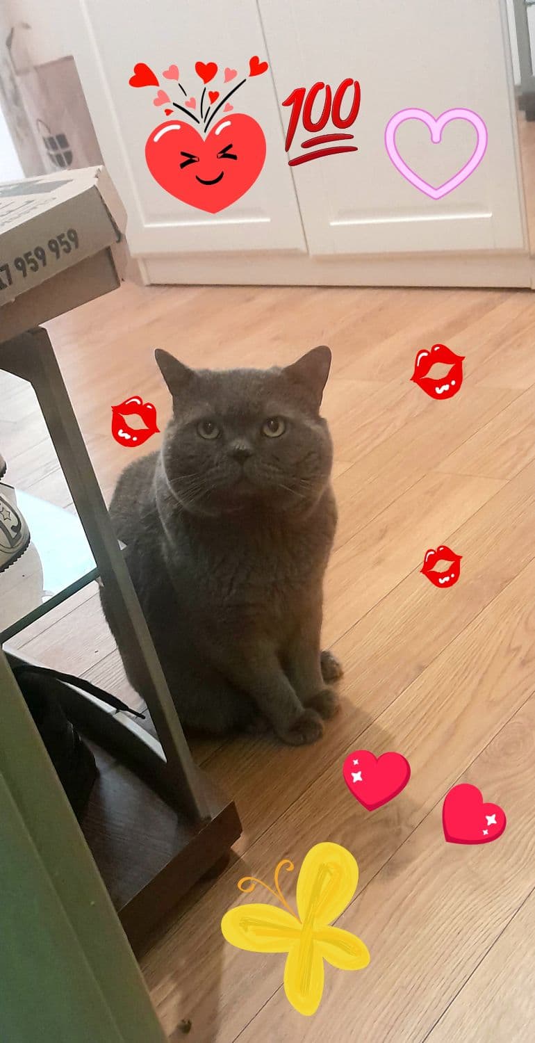 1746148387828-20240120_120741