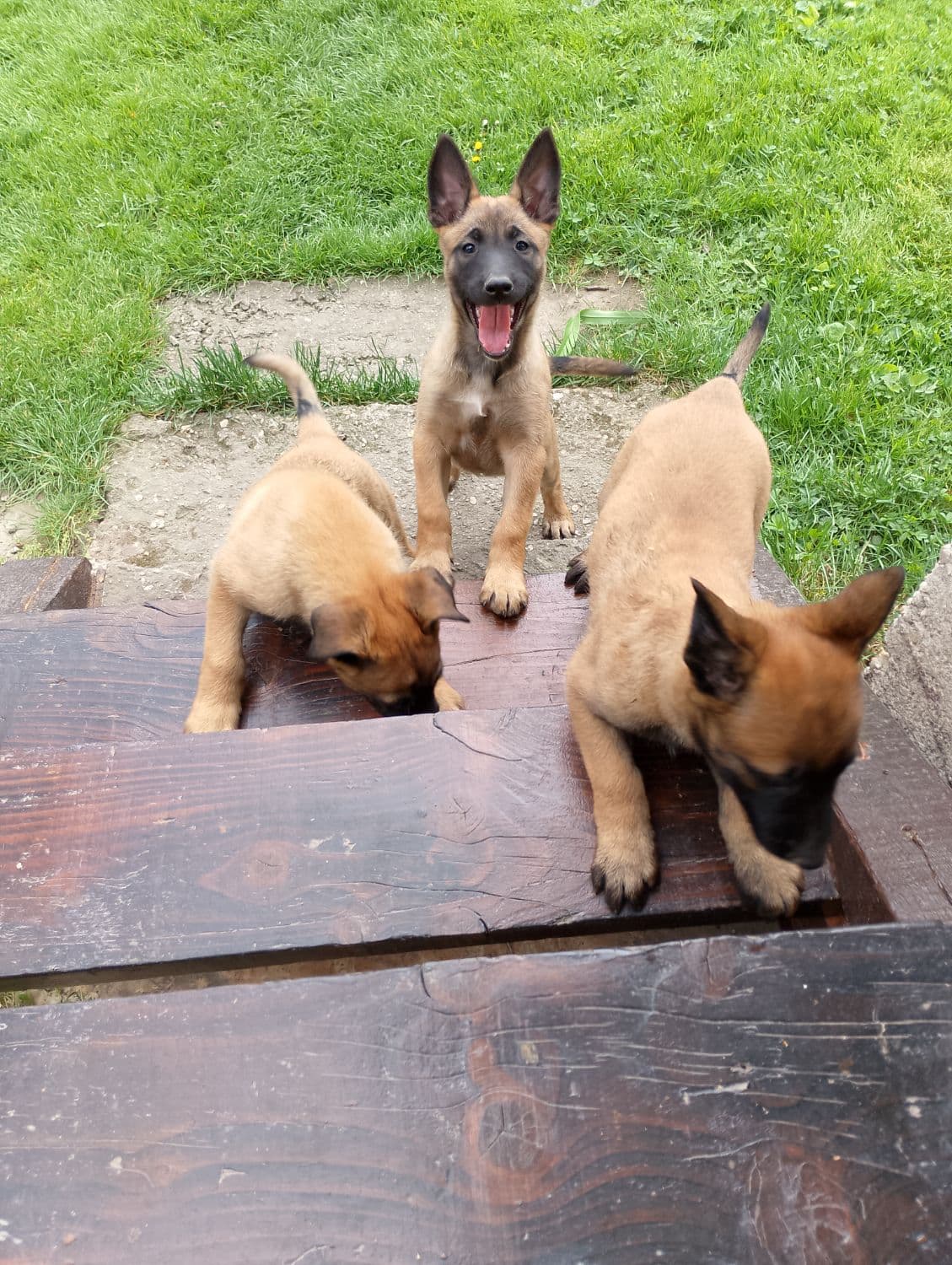 1746530140558-49225d3f-c72a-4132-a591-54cc1be890e1-1_all_5873