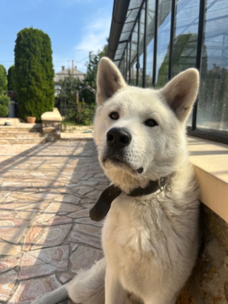 1748629276835-IMG_6827