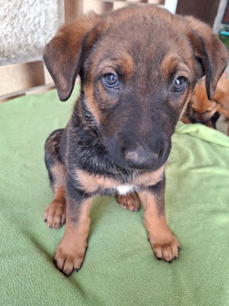 1749376517755-1000035018