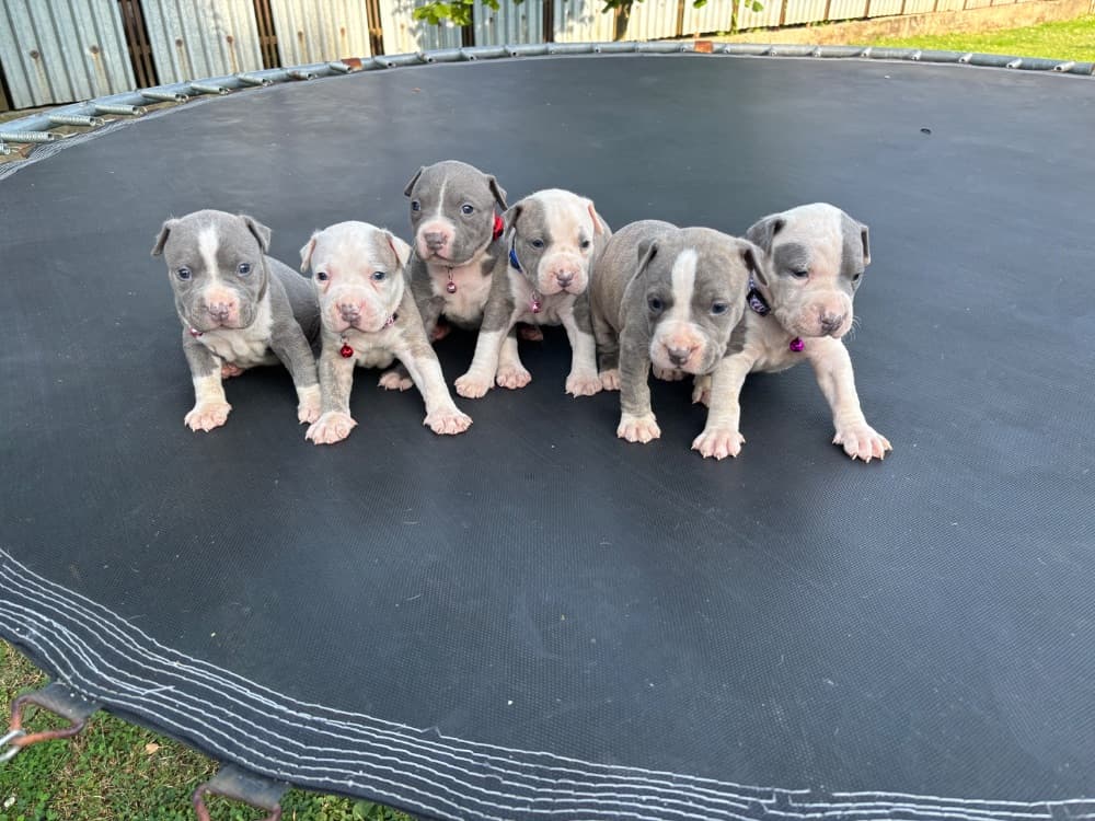 1751567147317-IMG_0286