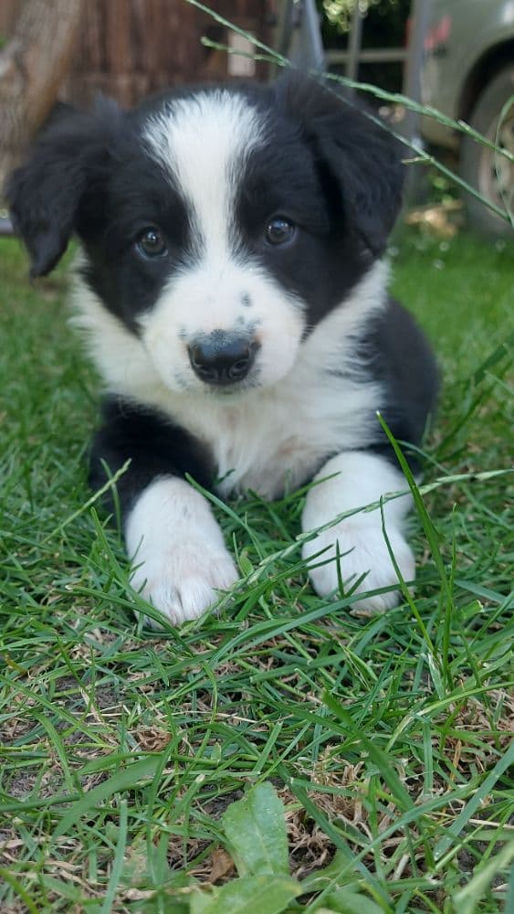 1751976546345-20250621_130103