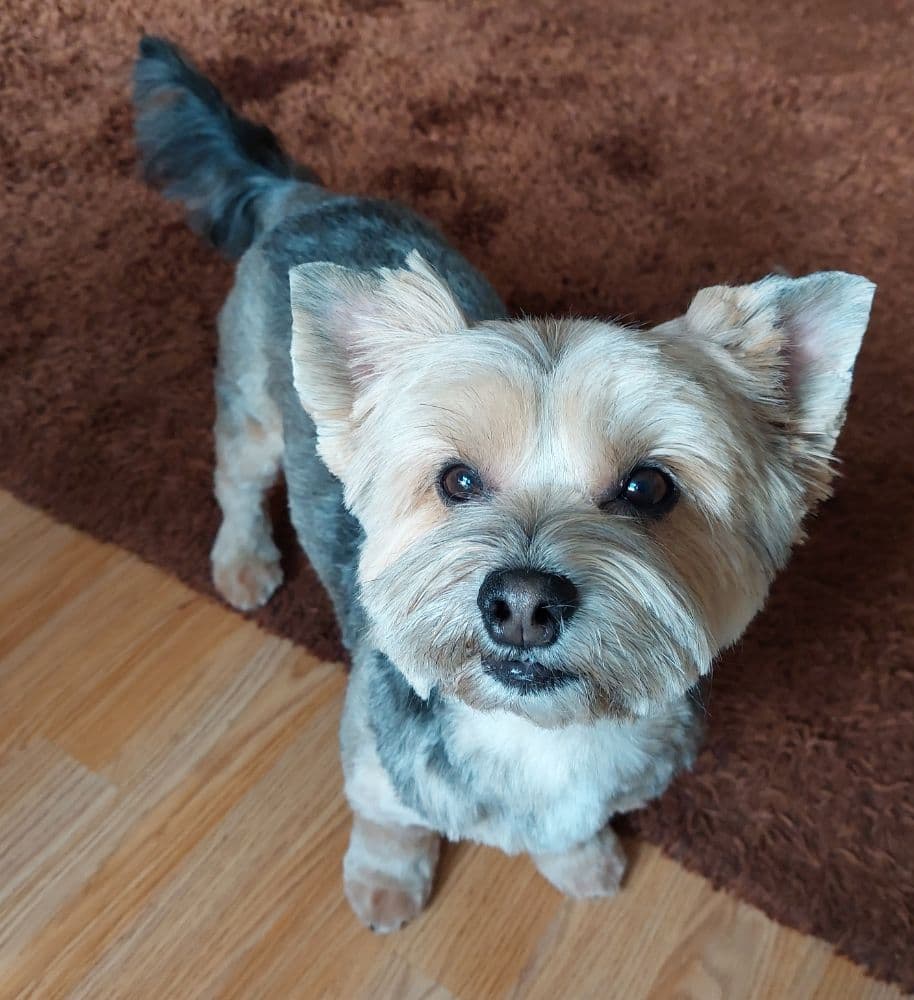 1751992037124-20220206_114808