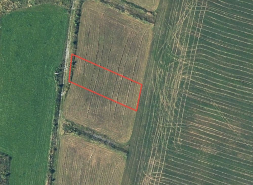 1752761054821-trnovo