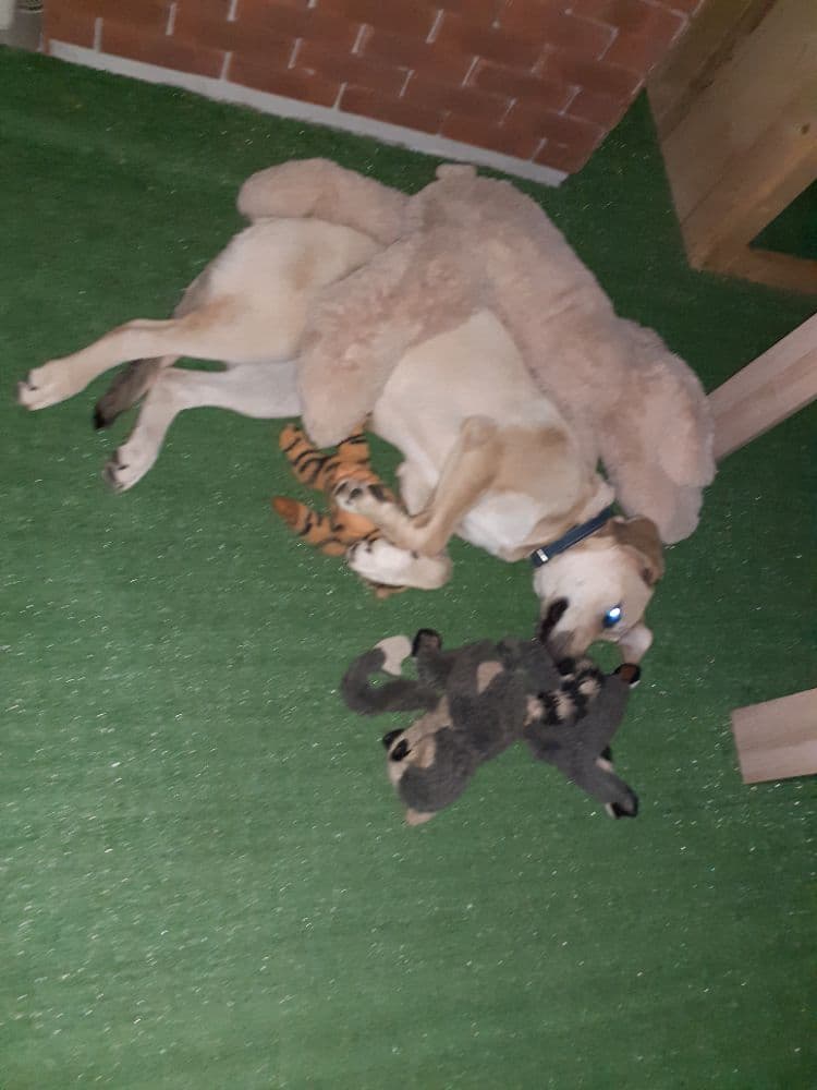 1753960047955-20250623_222706