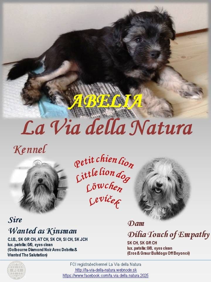 1754051698757-Abelia-La-Via-della-Natura