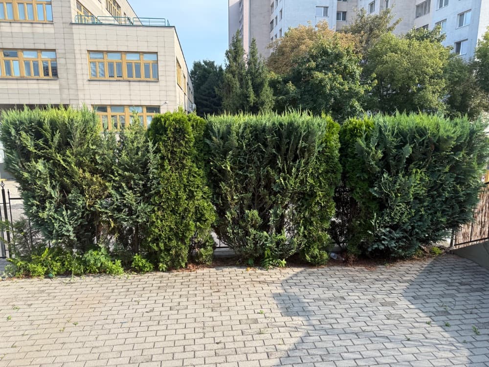 1754572185607-IMG_3774