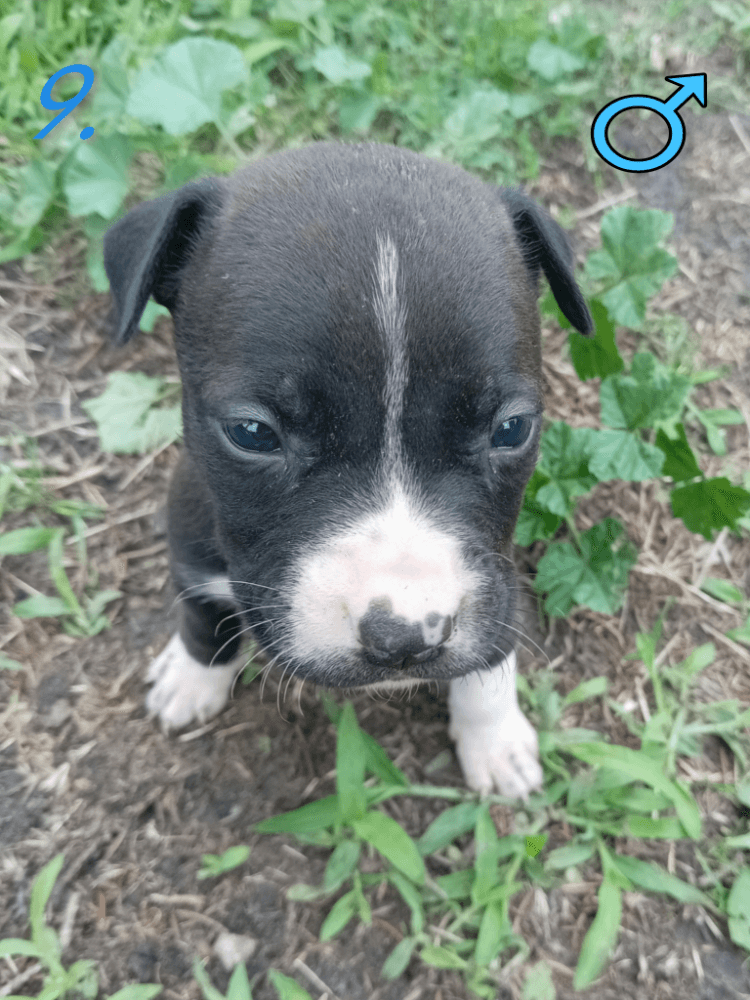 1754817531261-1000000953