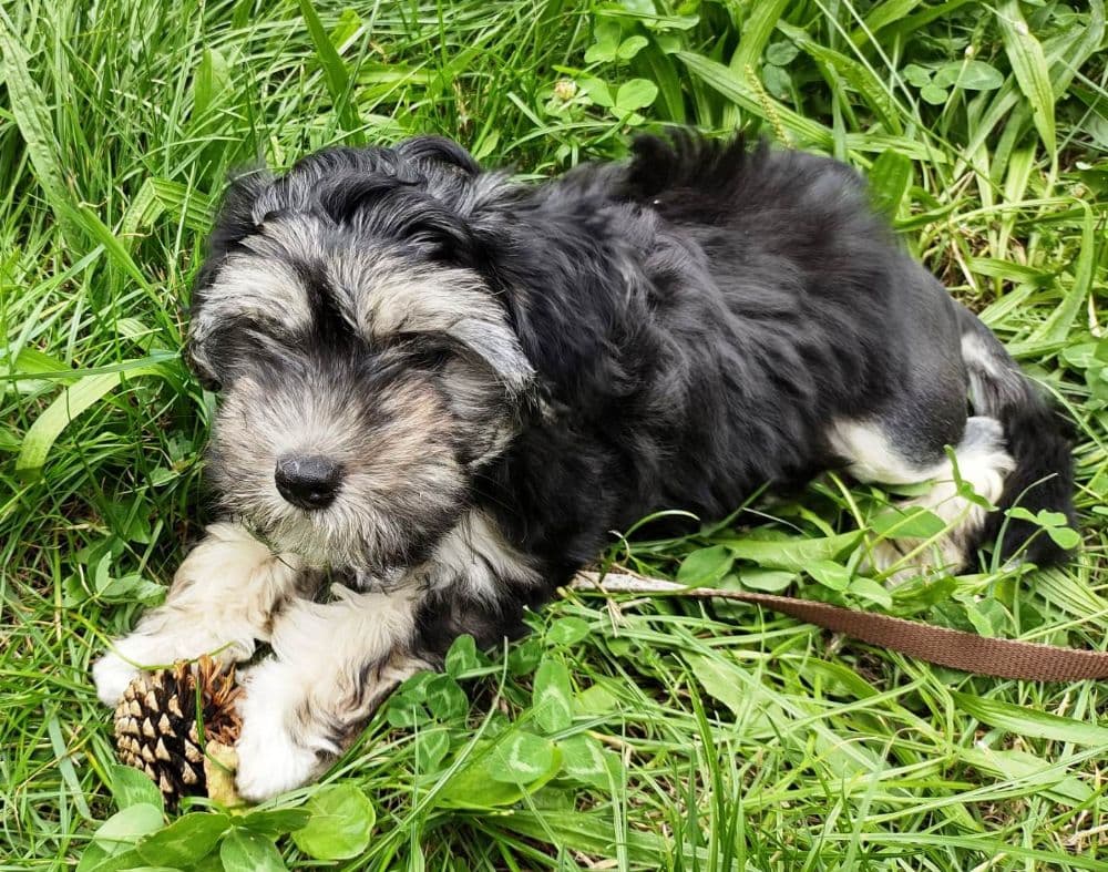 1755528231568-IMG-20250817-WA0011