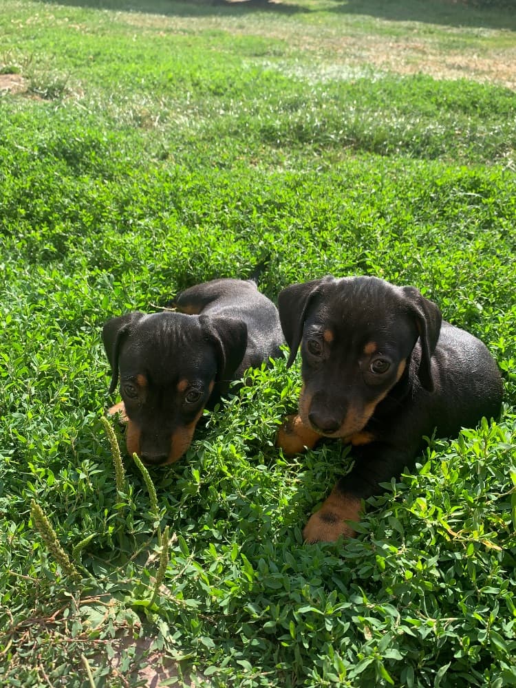 1756045390769-IMG_0224