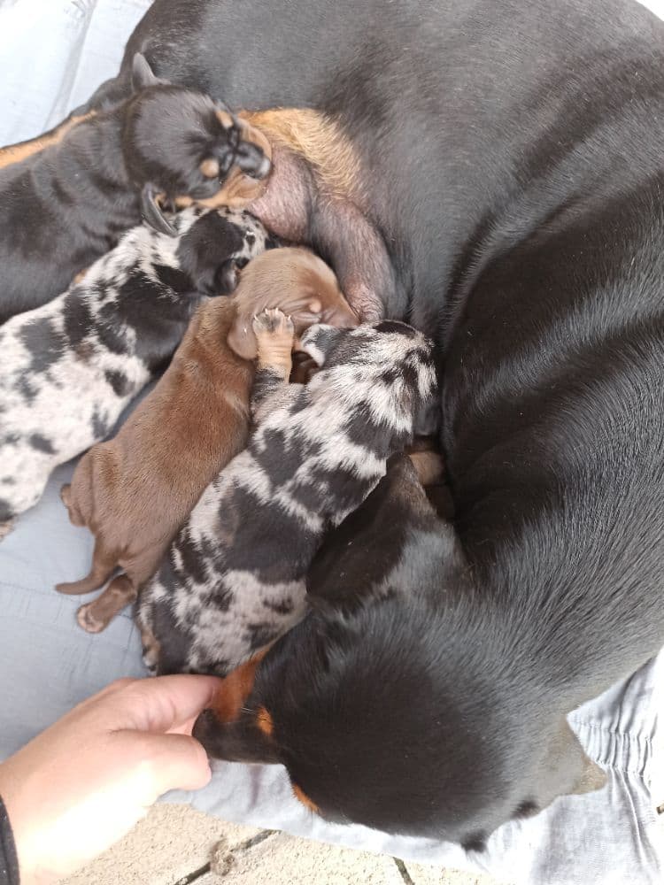 1756239152060-IMG_20250823_150713