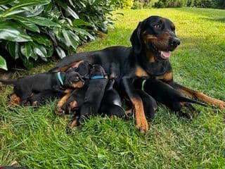 1756212566669-IMG_9198