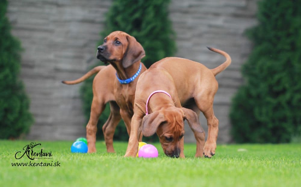 1756639367367-IMG_7919