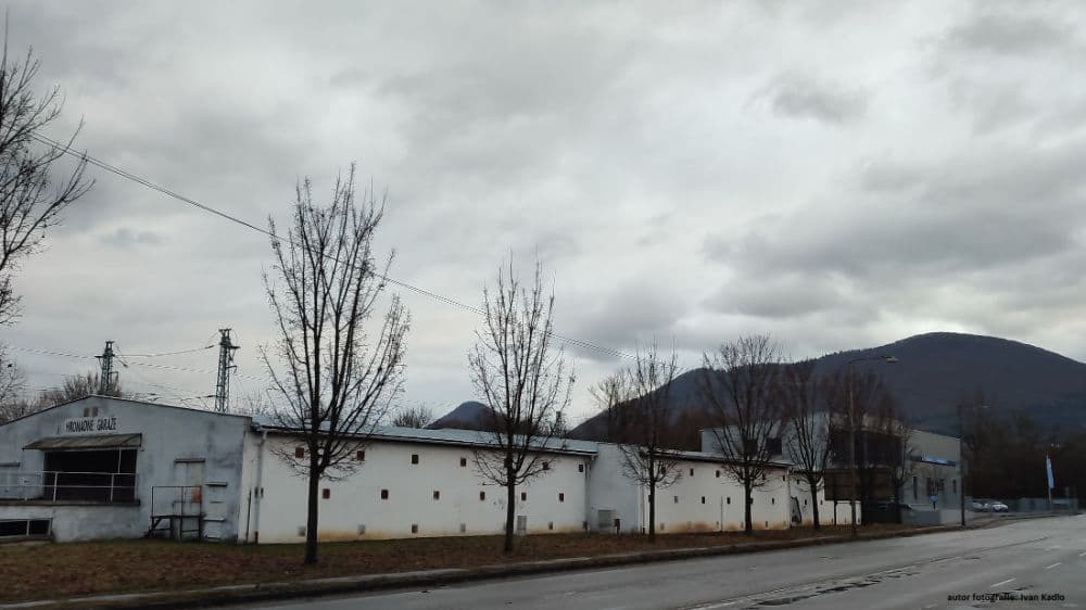 1757423333998-HipDjj