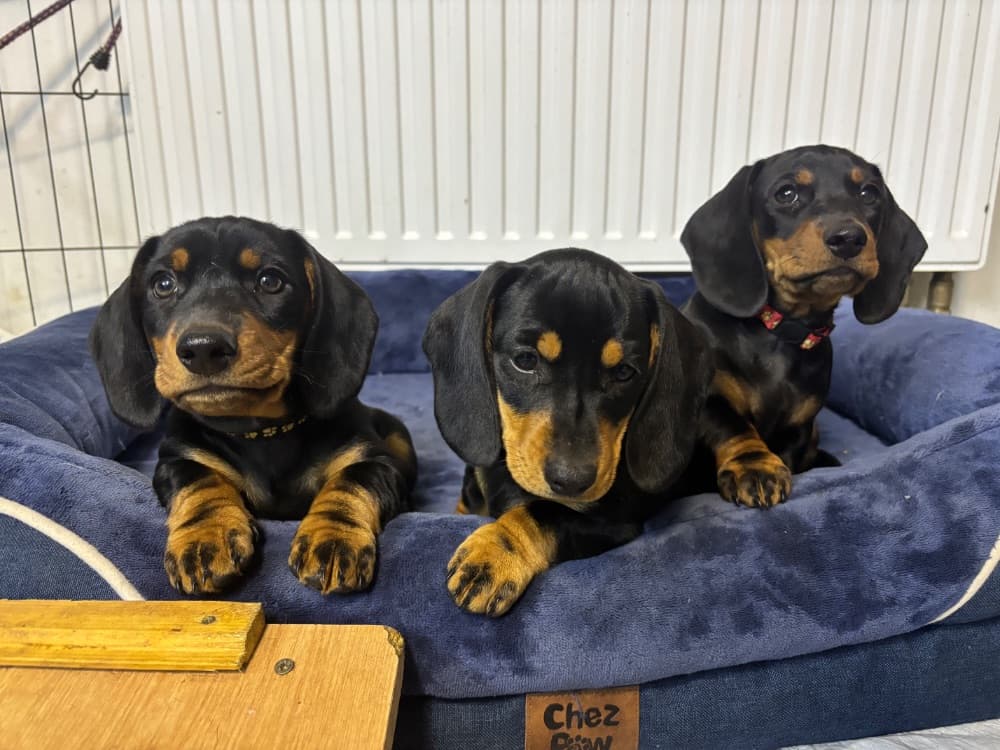 1758741815808-IMG_2823