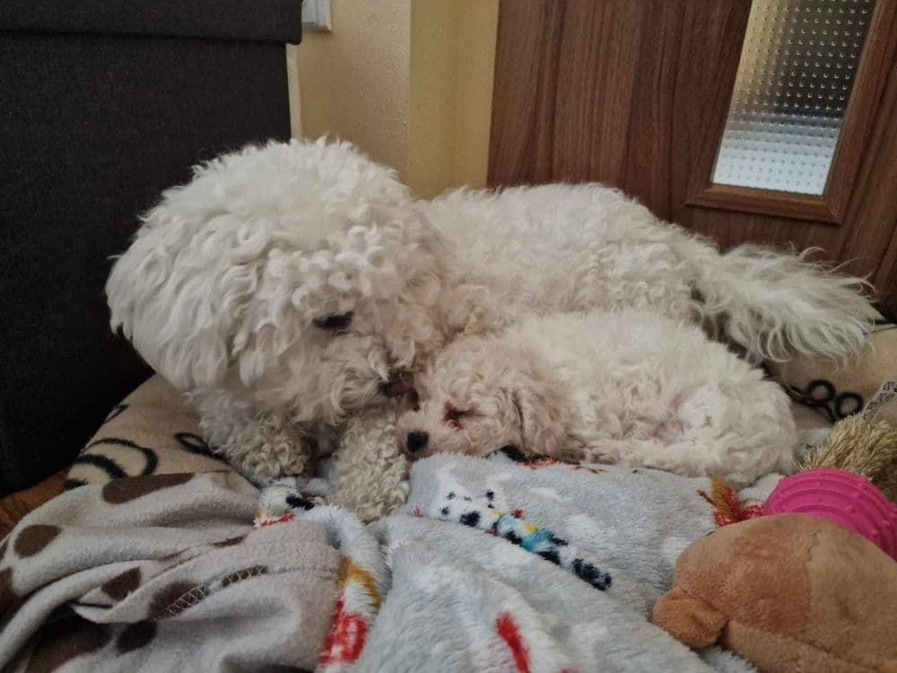 1759309804461-1000005485