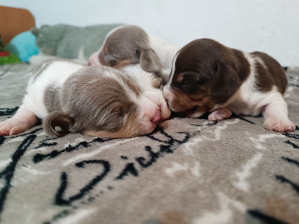 1759334866795-1000025248