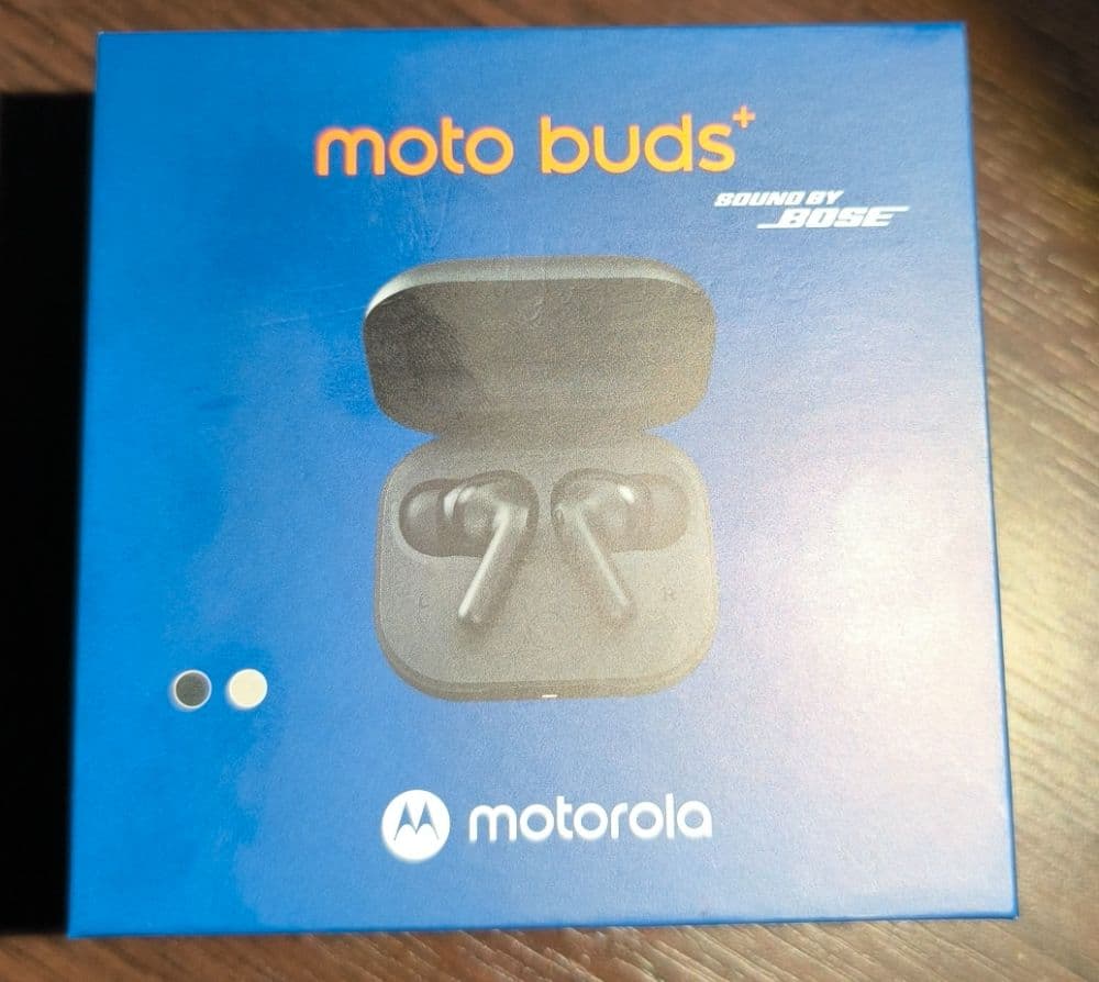 1760267332251-buds1