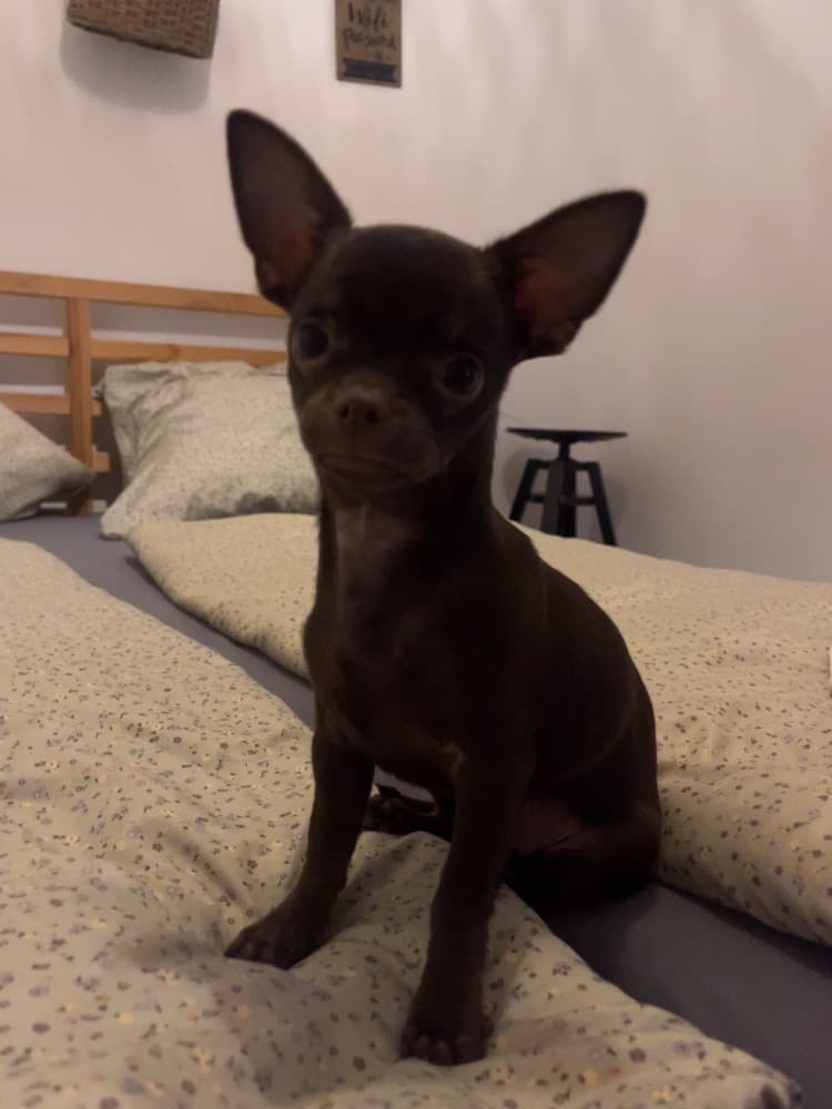 1760382203615-IMG_2047