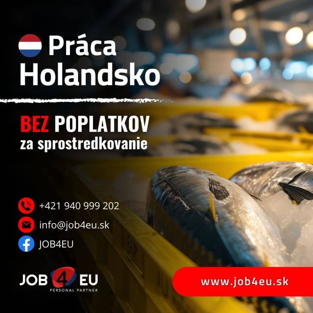 1760515339240-vyroba_17