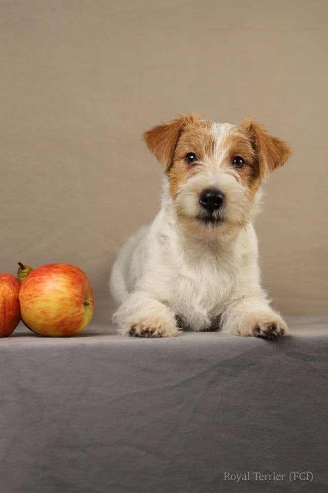 1761064401568-IMG_7630