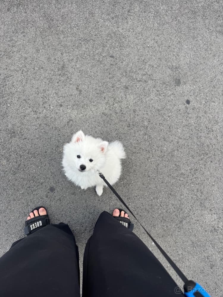 1762282065631-IMG_1851