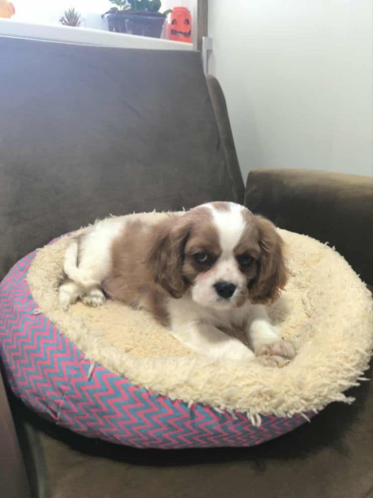 1762879862378-1000006495