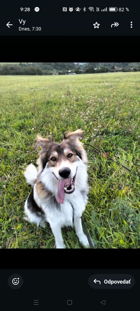 1763326370574-Screenshot_2025-10-26-09-28-41-06_6012fa4d4ddec268fc5c7112cbb265e7