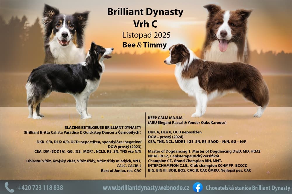 1763542974113-IMG_6044