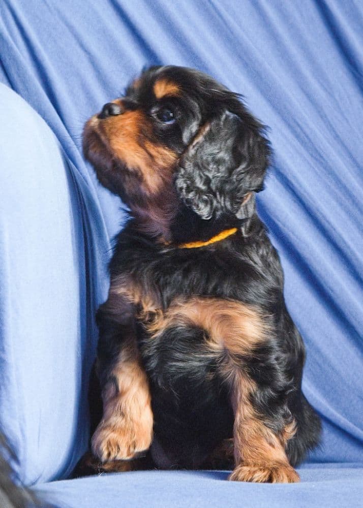 1765028545951-DSC_4700a