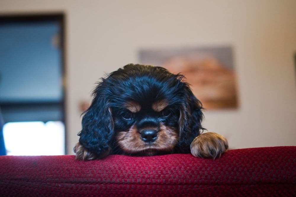 1765213263738-Messenger_creation_B5A5CC19-D204-4956-903B-61A99DEFD11D