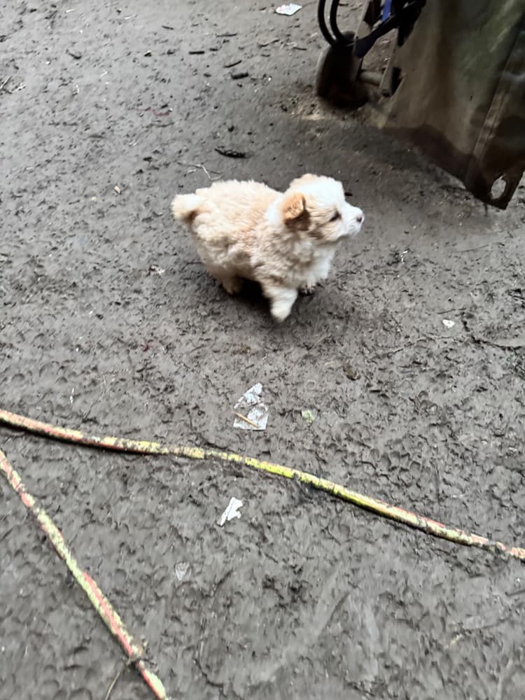 1765642835782-IMG_8346