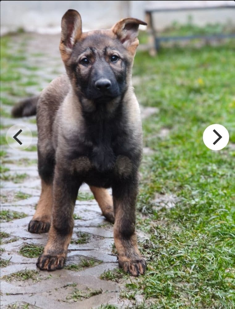 1766320338988-IMG_20251221_132041