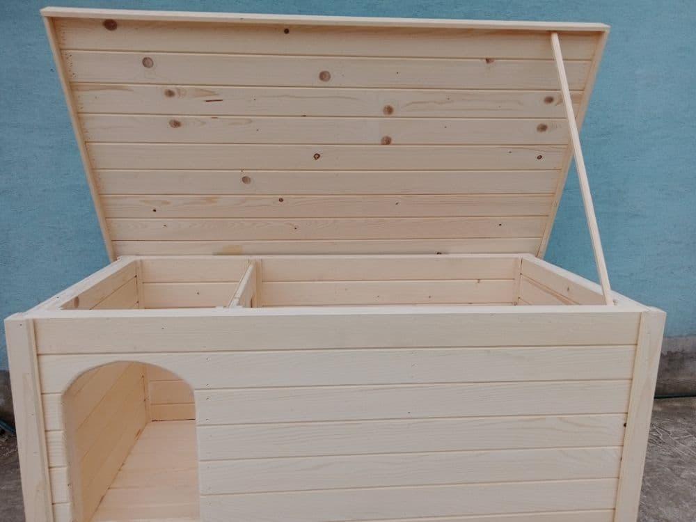 1766753145189-IMG_20240112_115316_1