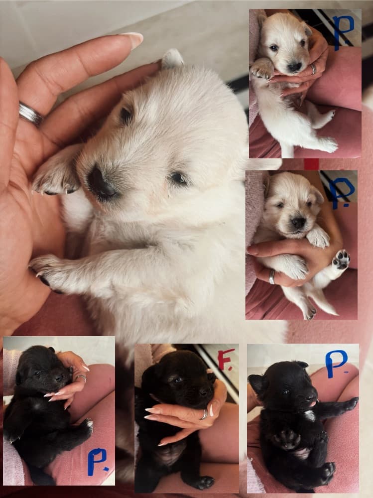 1766873690595-copy_6CB2BE9A-76F8-4DAC-B8C7-C4833FC757D6