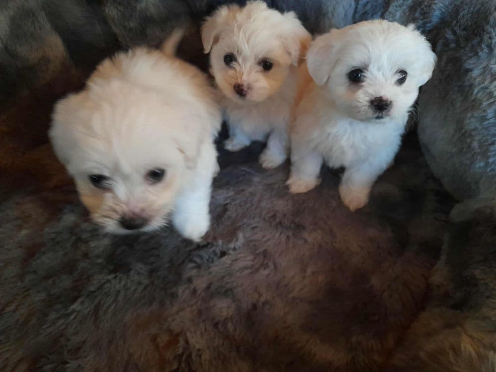 1767105097267-1000003041