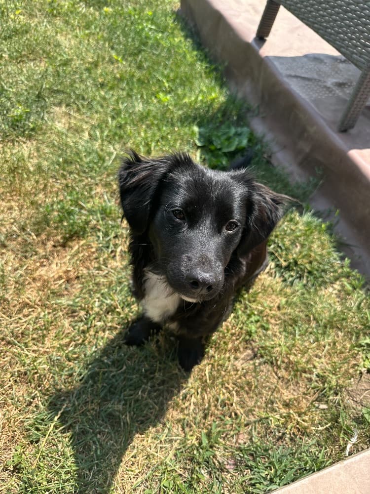 1767349116553-IMG_2322