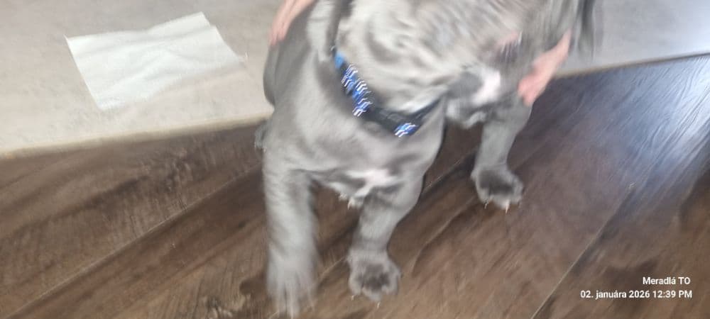 1767677901277-1000052962