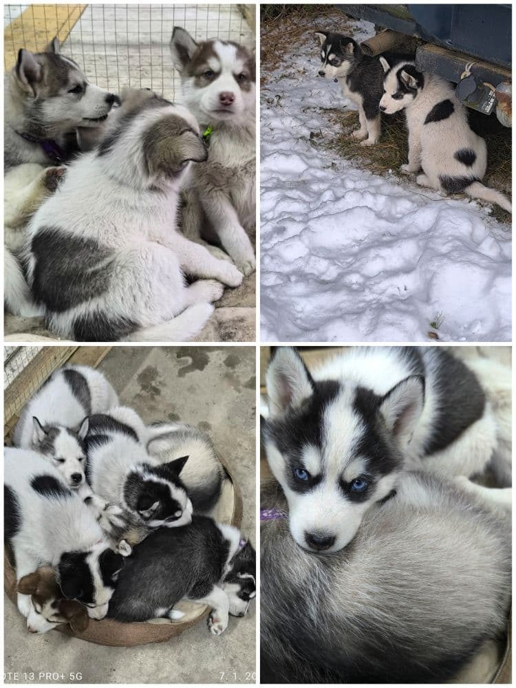 1767955307854-1000020273