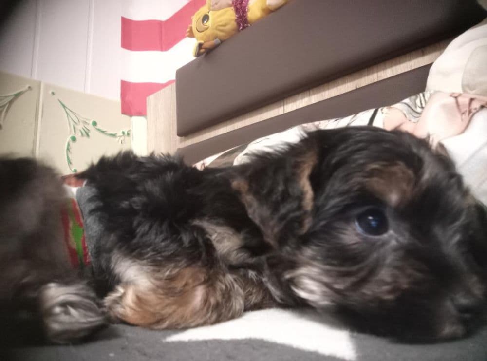 1768215996681-IMG_20260104_132431_797