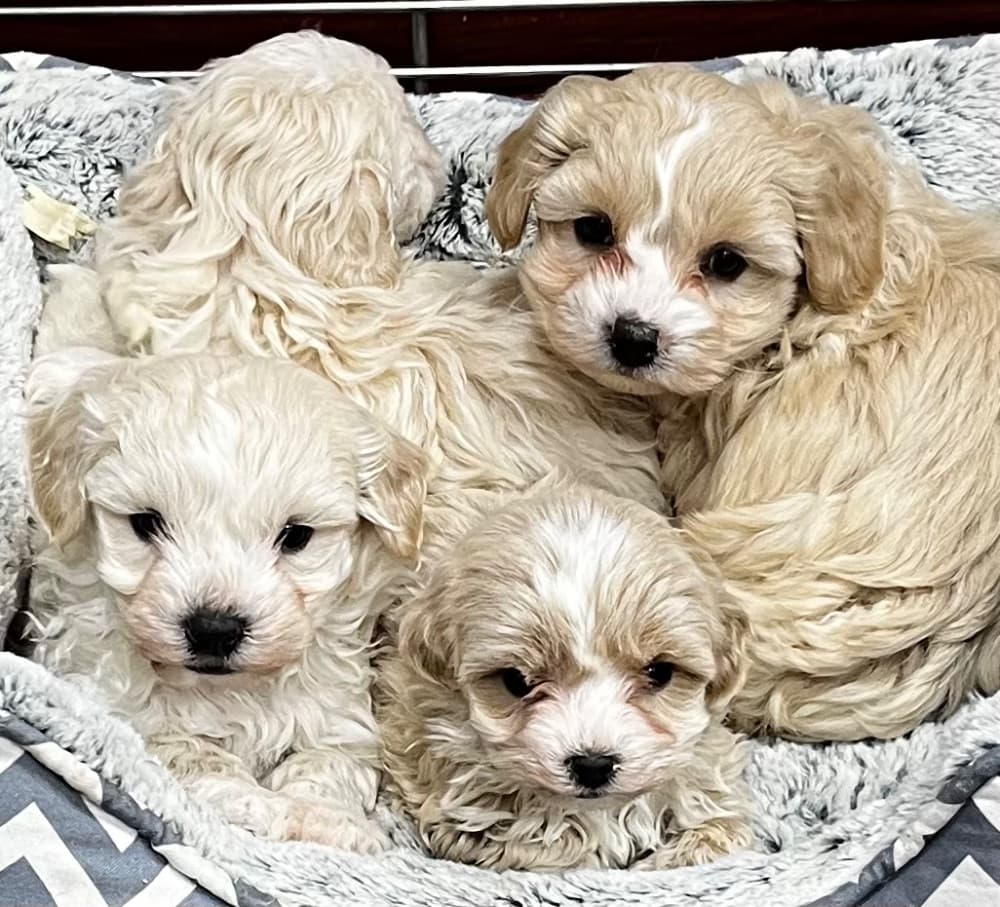 1768453406064-IMG_8937