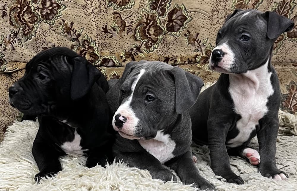 1768773124134-IMG_9174