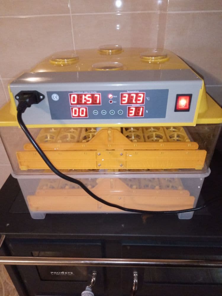 1769403818265-1000000940