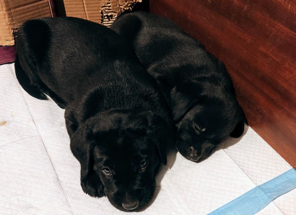 1769508922952-1000020659