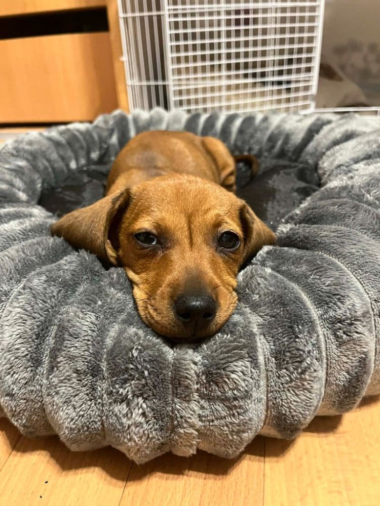 1771826991443-1000024785