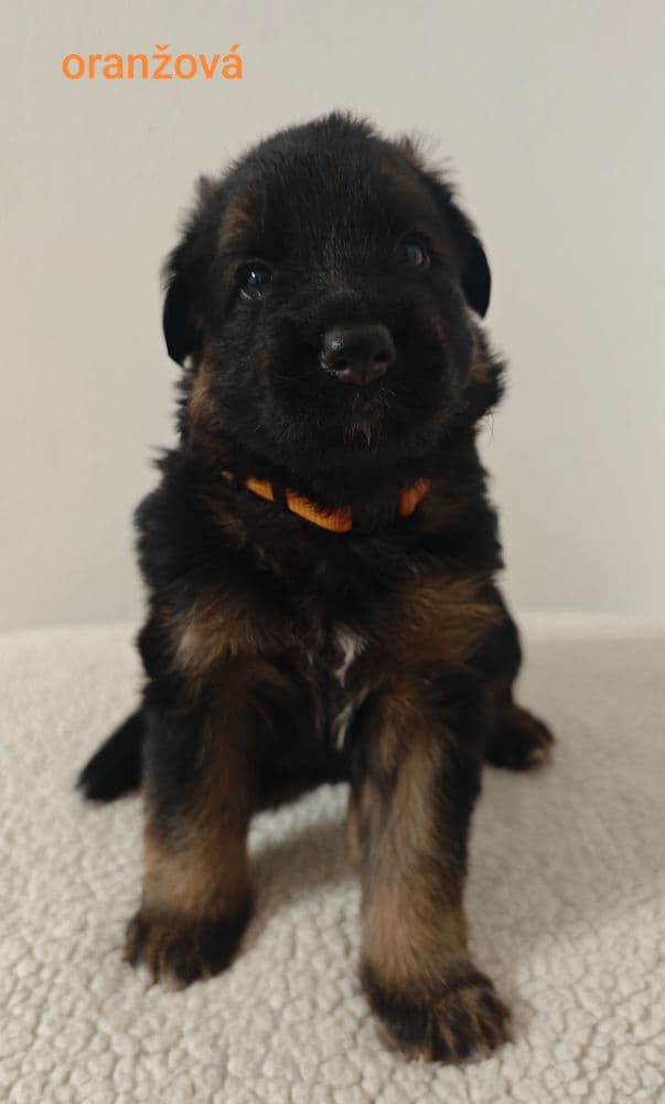 1772457323674-1000010533