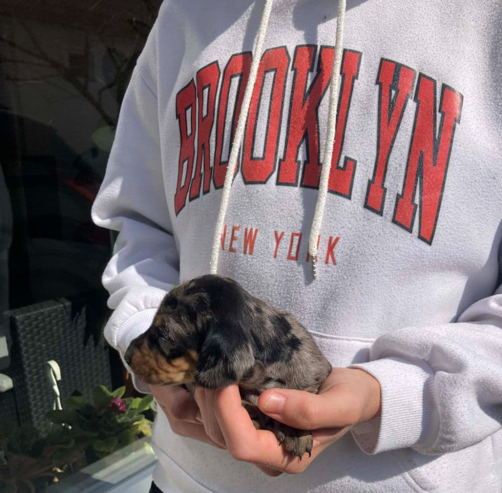 1774177198170-e7084829-1aba-48fe-b73b-5b91f74edba7