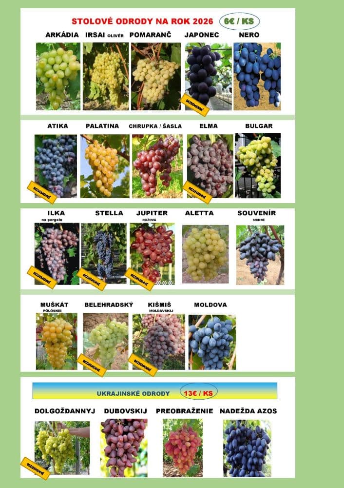 1774264088222-VEGLEGES-page-001